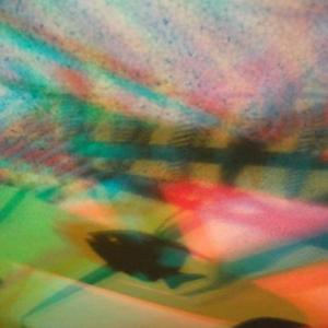 I colori della biodiversità -2015