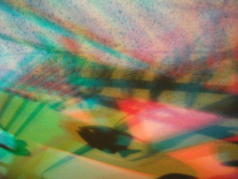 I colori della biodiversità -2015