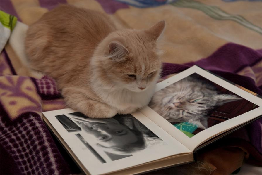 . . . E PIU' MI MANCHI !!! . . . 