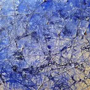 Is not a new life (n.255)