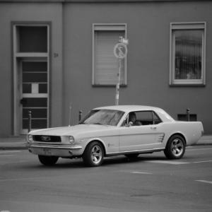 Mustang, Witten, Germany 2016