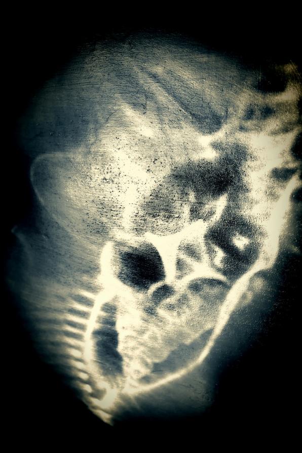 La negatività nel bambino  (The evil in the child ) 