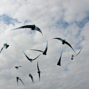 Prima della fine è un volo