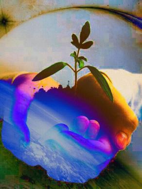 Sono ottimista: un giorno la terra servirà a concimare un pianeta lontano ....