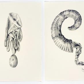 Assemblies: hair | horn - glove | egg