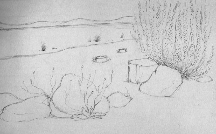 Rosmarino sul Lago (bozzetto)