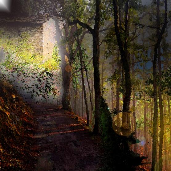 La casa in fondo al sentiero... La casa in fondo al sentiero...