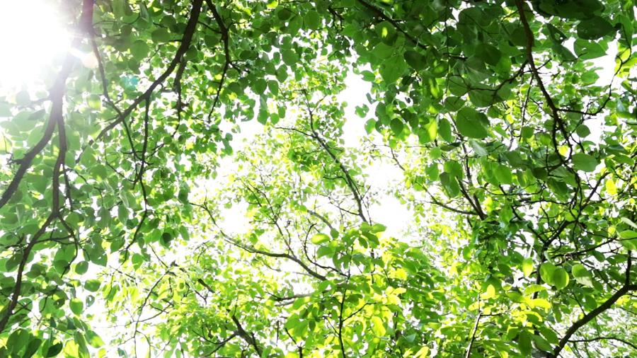 Al di là - Si non sedes, is