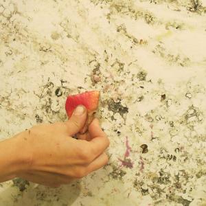 Memoriae Mathildis, Immagini e visioni di un mito