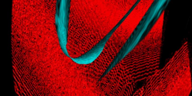 Where Do I belong ? The Bella Vista gallery Chicago USA