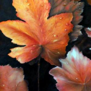 FIORI IN VILLA al CLUB MERIDIANA DI MODENA