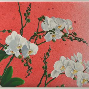 “Di caduche bellezze e fugaci forme”, mostra personale di Ilaria Caputo