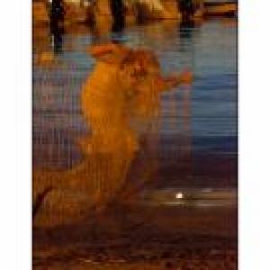 “I colori nel gioco del lavoro – colours in the work game”