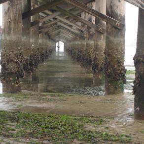 Serie mare d'inverno - 