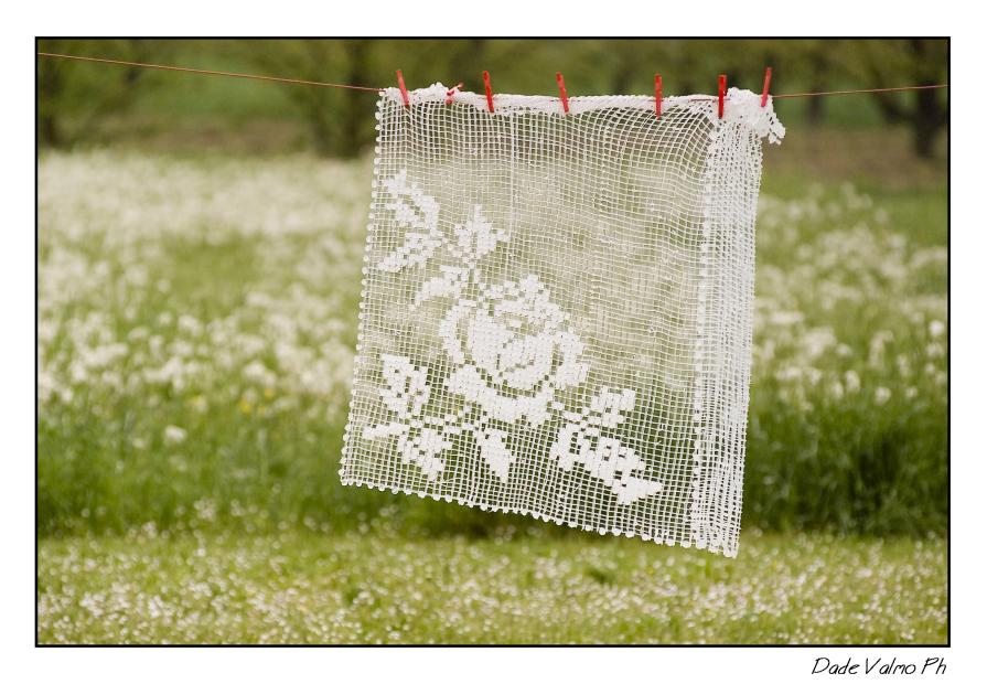 All'Estremo delle Forze 