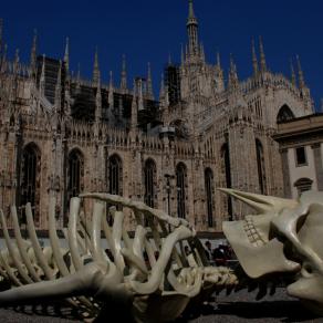 Milano...da morire!!! 