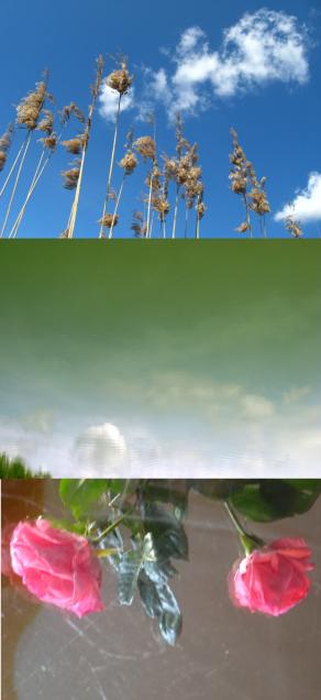 Water has taught me this: