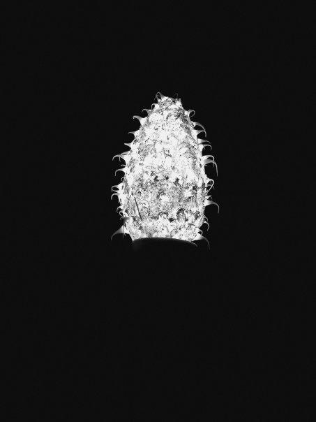 hairy light under a black sky 2 