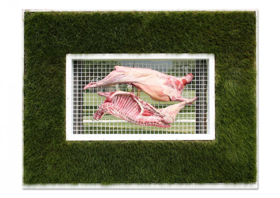 Leopoldo Mandic Medicina B