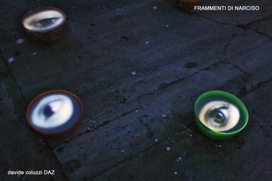 fragments of narcissus fragments of narcissus