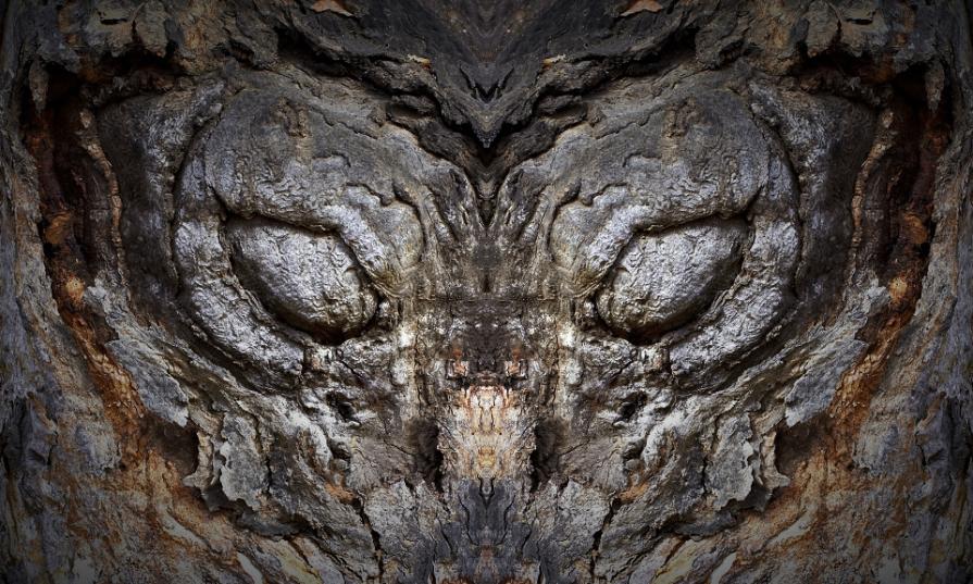 The Silent Memory of Trees