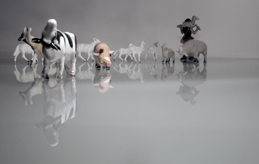 La Primavera di Quirra - Cottimo