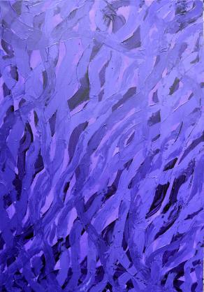 SONATA N. 7 PER VIOLA