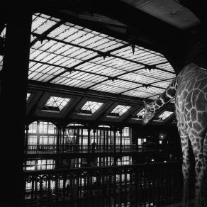 Visita a casa Buffon