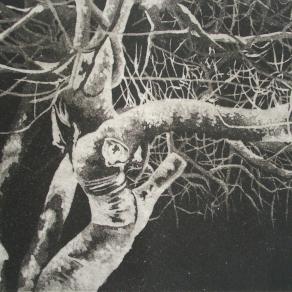 Silenzio intorno al mio albero prediletto