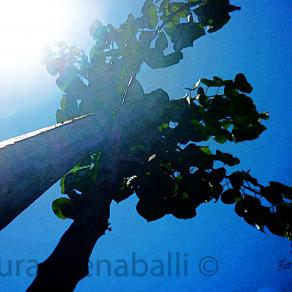 "con il naso all'insù baciato dal sole" 