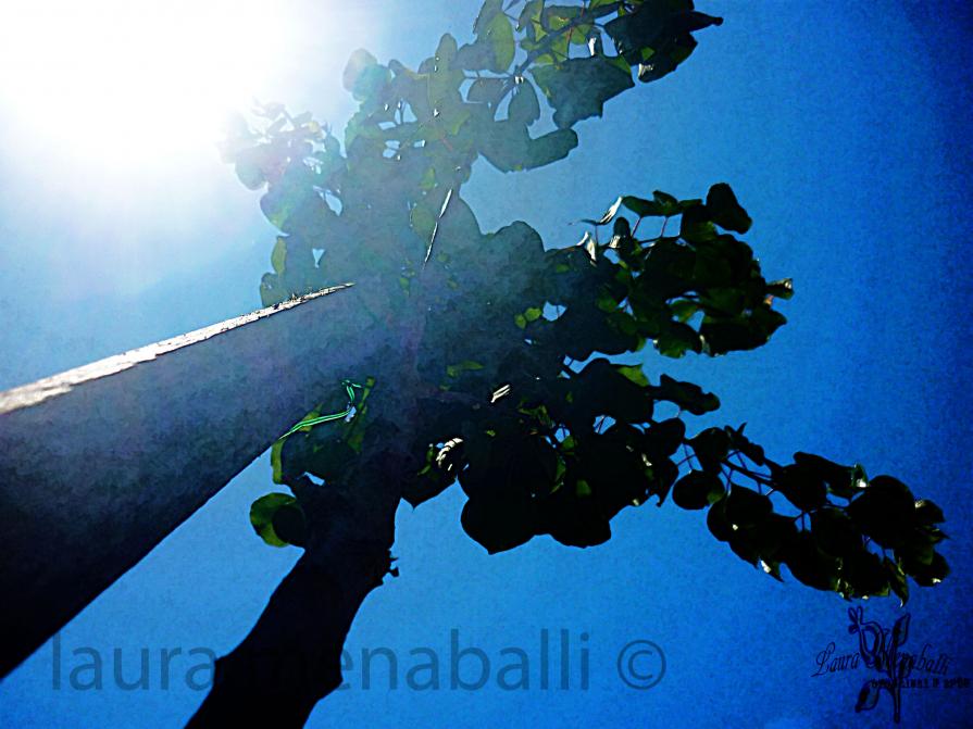 "con il naso all'insù baciato dal sole" 