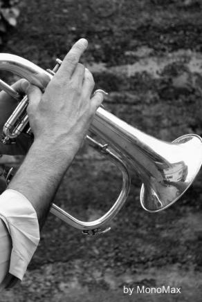 Particolari di musica dal vivo