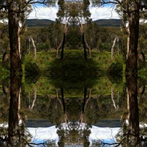 Australian Landscape