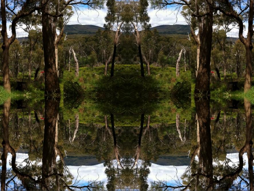 Australian Landscape