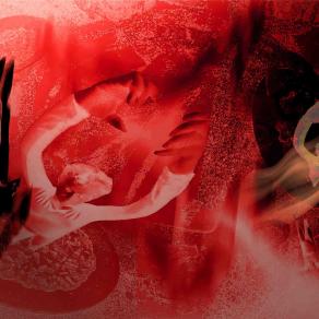 Femen Power "Sommer 2014"