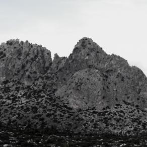 MORE THAN EVER Buffavento 28