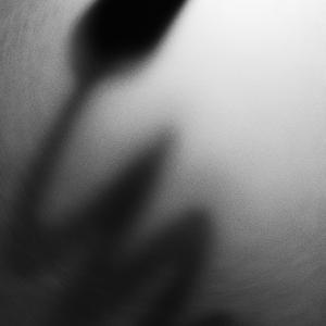 Six thoughts of the same thing - Extension