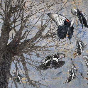 il gioco del mimo il gioco del mimo