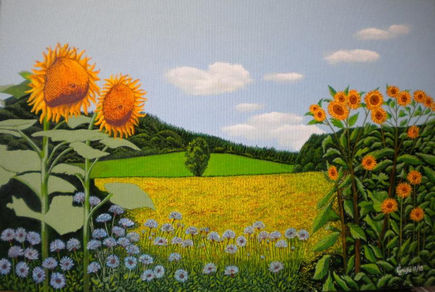 LG 0242 - Collne di Toscana