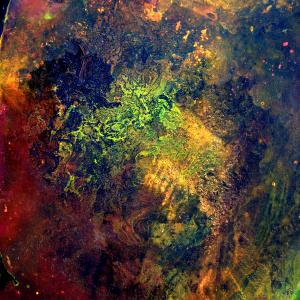 9th week detail, tar. oil. acrylic