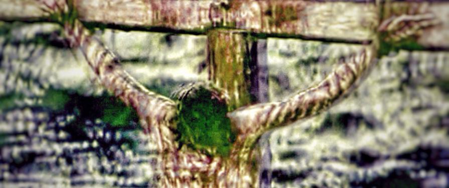 ... il Peccato del mondo (Gv 1,29)