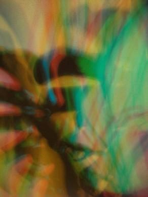 I COLORI DELLA BIODIVERSITÀ