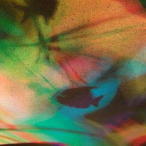 I colori della biodiversità -2015