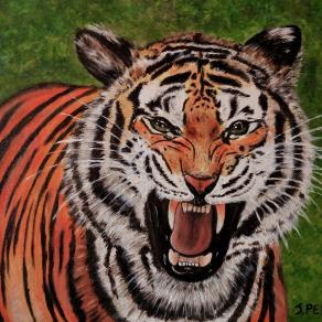 And now, let's fight!