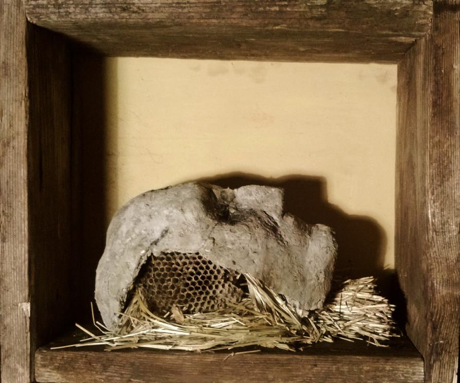 il complesso e l'individuo