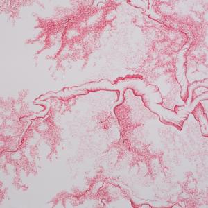 a U L I V O o f R 7 ®