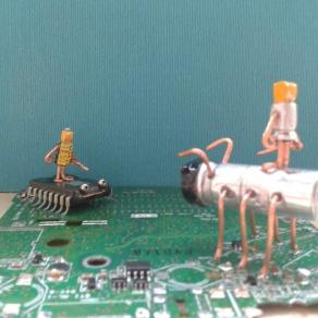 Lotta per la sopravvivenza