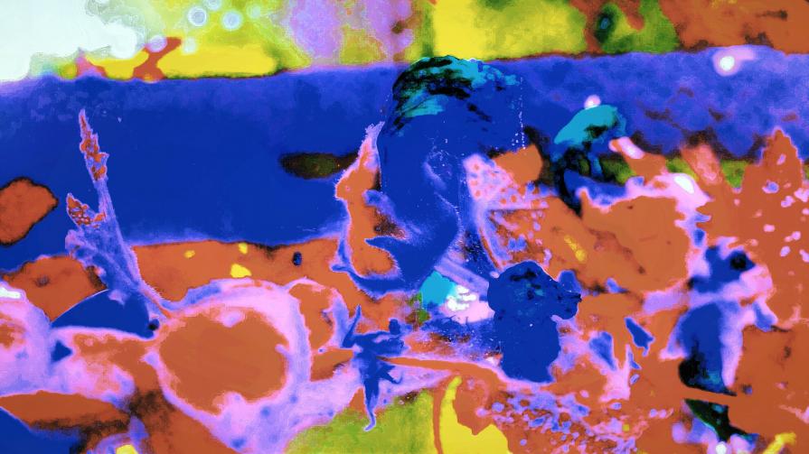 Sballetto dei Colori ♡