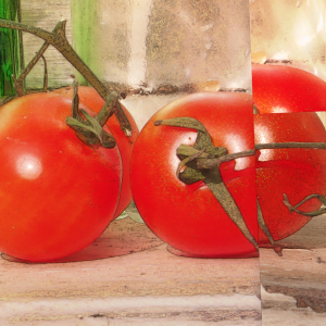 morandiMediterraneo 03c