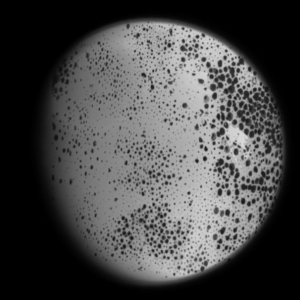 GOODBYE SQUID MOON Cassini flew by Dione, a moon named after an Oracle. At the same time I saw a squid dying on fishmonger’s slab – communicating, as 